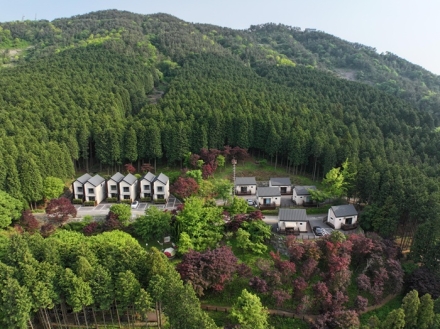 한국산림복지진흥원, 숲의 치유효과 데이터로 과학적 검증