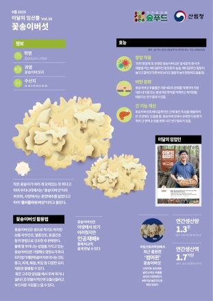 산림청, 9월 이달의 임산물로 ‘꽃송이버섯’ 선정