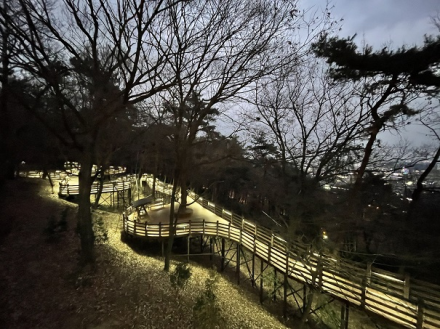“모두를 위한 숲” 전북자치도, 무장애나눔길·나눔숲 관리 성과 휩쓸어