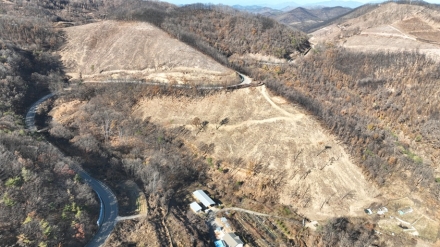 영주국유림관리소, 안동·의성 산불피해지 ‘위험목 제거’…2차 피해 막는다