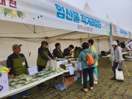 제주 산림조합, '청정임산물 블랙프라이데이' 성황리 마무리… "도민 호응 뜨거웠다"