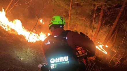산림청, 산불재난 국가위기경보 ‘주의’ 단계 발령