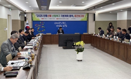 안동시, 산불 피해지 ‘산림 재창조’로 다시 세운다