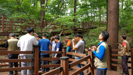 대관령치유의숲, 재난 극복 영웅들에 전한 ‘초록빛 위로’