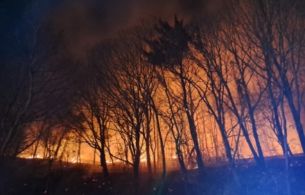 전남 고흥 산불, 투입 2시간 만에 ‘완전 진화’… 인명피해 없어
