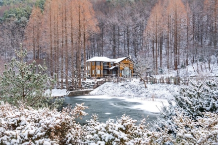 논산시, ‘인생샷 성지’ 온빛수목원 사계절 꽃정원으로 가꾼다