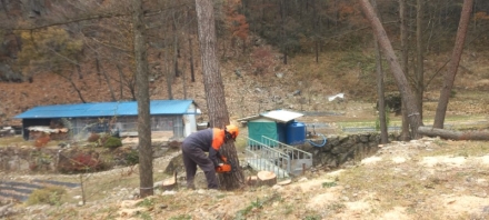 정읍국유림관리소, 2026년 ‘숲가꾸기 패트롤’ 운영