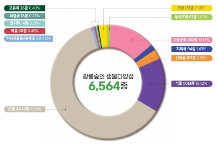 국립수목원, 광릉숲 생물다양성 목록 공개… 수달·신종 버섯 등 313종 추가