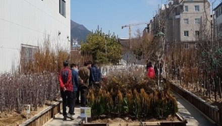 "내 집 마당에 봄을 심으세요"… 고창군산림조합, 2026 나무시장 개장