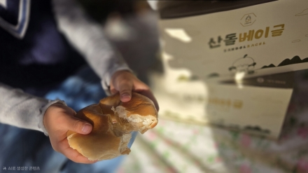신맛 돌배의 대반전” 경북도, 혈당 낮추는 ‘산돌베이글’로 디저트 시장 공략