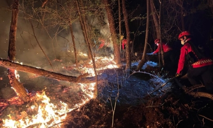 산림청 무주국유림관리소, 봄철 대형산불 특별대책기간 운영