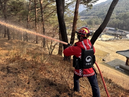 산불지연제 효과 입증…영월 화재 확산 막았다