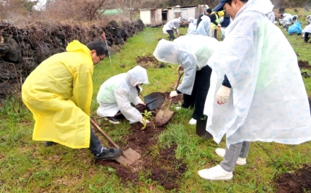 “함께 심고 함께 지킨다”… 제주 곶자왈서 국민 참여 나무심기