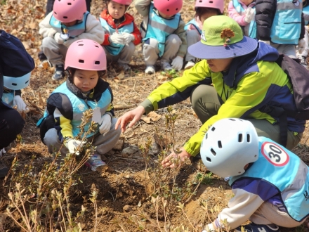 “함께 심는 숲, 함께 만드는 미래”…중부지방산림청 나무심기 행사