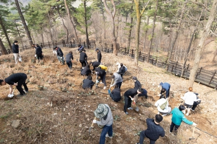 연천군, 식목일 맞아 산철쭉 3,000주 식재… 녹색경관 조성