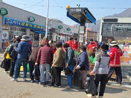 인제국유림관리소, 식목일 맞아 나무심기 행사…탄소중립 실천 확산