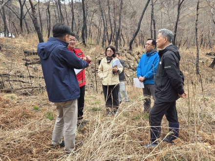 산림청 이상익 산림산업정책국장, 의성 산불피해 임업경영체 현장 점검