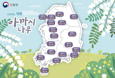 아까시나무·마가목 개화 앞당겨진다…국립산림과학원 예측지도 공개