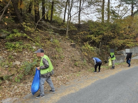 영월국유림관리소, 보호협약 마을에 산나물 무상양여…상생 모델 확산
