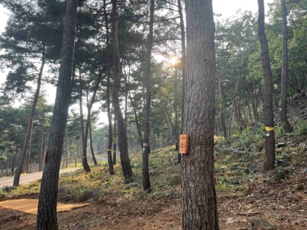 산림청, 제3의 국립 수목장림 대상지 공모