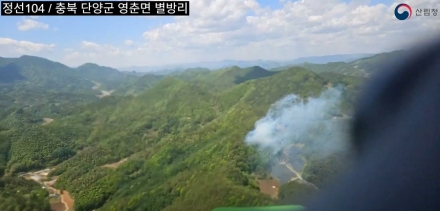 충북 단양 산불 진화 완료