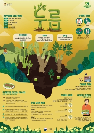 산림청, 5월 이달의 임산물로 봄철 건강식 ‘두릅’ 선정