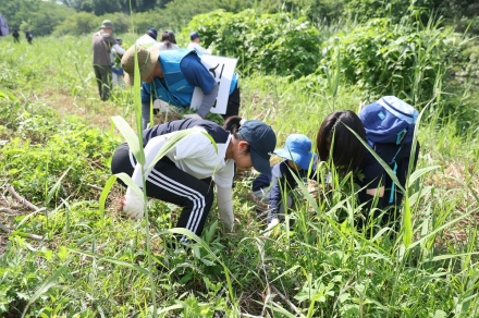 수원시, 에코패밀리 캠프 개최…생태계교란식물 제거 활동 전개