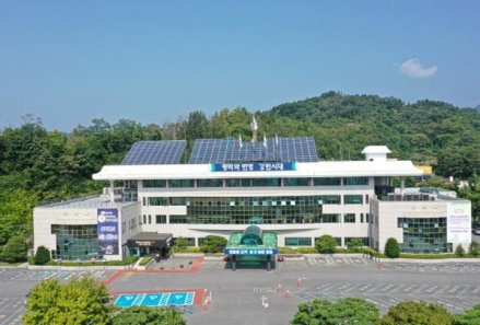 영월군, 솔잎혹파리 방제 본격 추진…95ha 산림 보호 나서