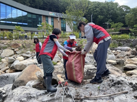 국립진안고원산림치유원·익산산림항공관리소, 산림환경 보전 위한 정화활동 전개