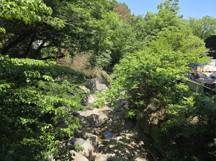 남부지방산림청, 하천·계곡 불법시설 집중 점검 나선다