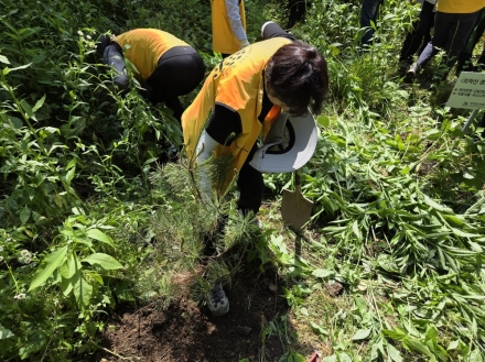 치악산국립공원, 유관기관과 생태계교란식물 제거 나서