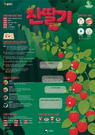 산림청, 6월 이달의 임산물로 산딸기 선정