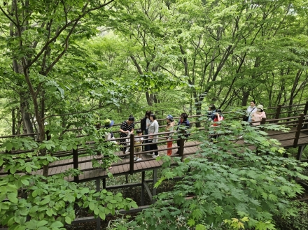 국립청도숲체원, 3분기 숲체험교육사업 참가자 모집