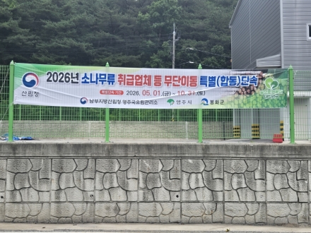 영주국유림관리소, 소나무류 무단 이동 특별단속…재선충병 확산 차단