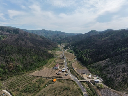 경북도, 안동 길안면 제2호 산림경영특구 지정