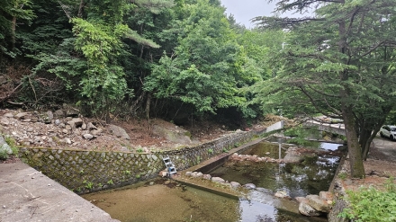 전남도, 산림계곡 불법시설 312건 적발…집중 정비 추진