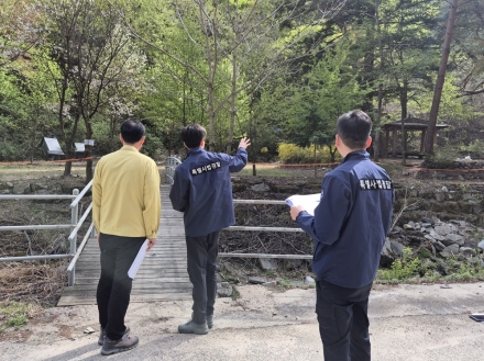 산림청, 약용수 불법채취·산림 훼손 무관용 대응…특별단속 강화