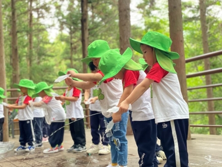 국립부산승학산치유의숲, 매미와 함께하는 여름 숲 체험 캠프 운영