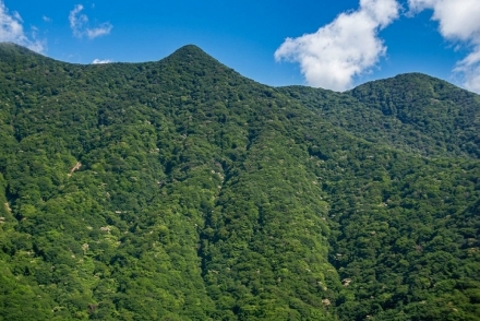 산림청, 국민이 뽑는 ‘산림유전자원보호구역 10선’ 공모