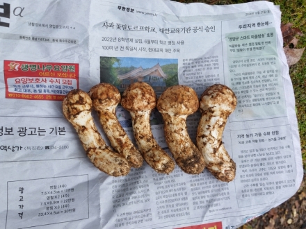 영주국유림관리소, 국유임산물 양여로 산촌 소득 증대 지원
