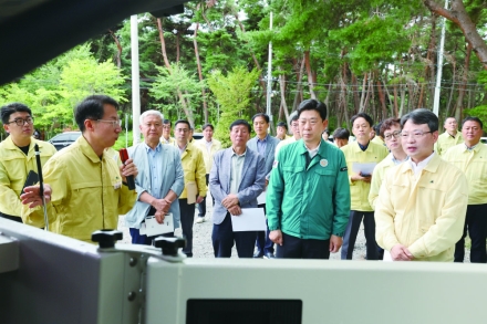 포항시, 소나무재선충병 확산 차단 위한 현장 방제 강화