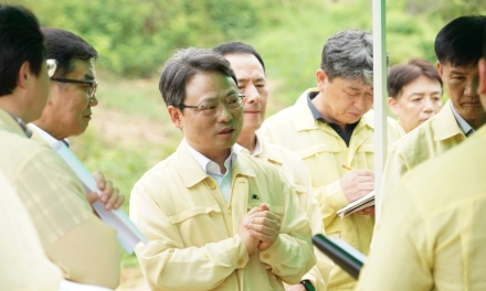 박은식 산림청장, 정읍 소나무재선충병 방제 현장 점검