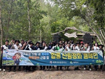 태백국유림관리소, 지지리골계곡 산림정화·불법행위 단속 추진
