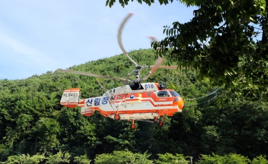 산림청 안동산림항공관리소, 부여군 밤나무 항공방제 실시