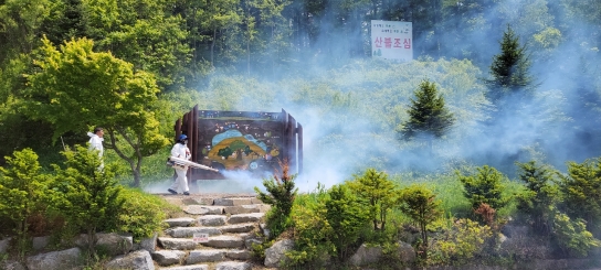 평창국유림관리소, 생활공감형 병해충 방제 실시