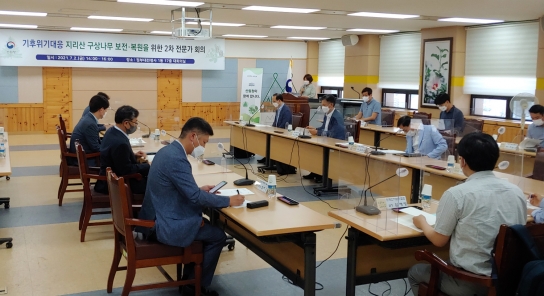 ‘구상나무’를 지키기 위한 다양한 방안을 모색한다!