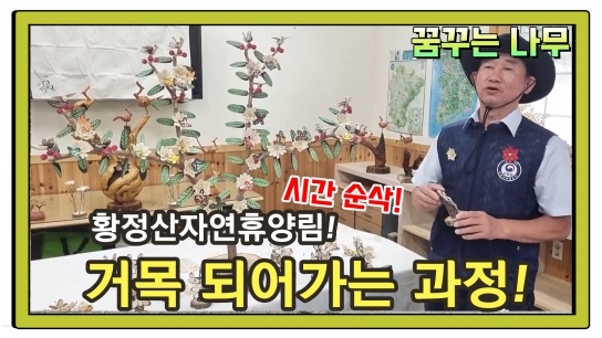 집에서 실시간으로 보고 느끼는 국립자연휴양림