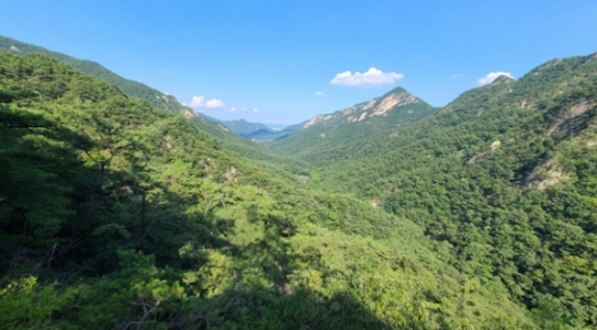 정읍국유림관리소, 산림보호구역 우선 매수!!