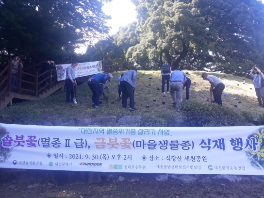 대전시, 멸종위기종 ‘솔붓꽃ㆍ금붓꽃’복원 나섰다