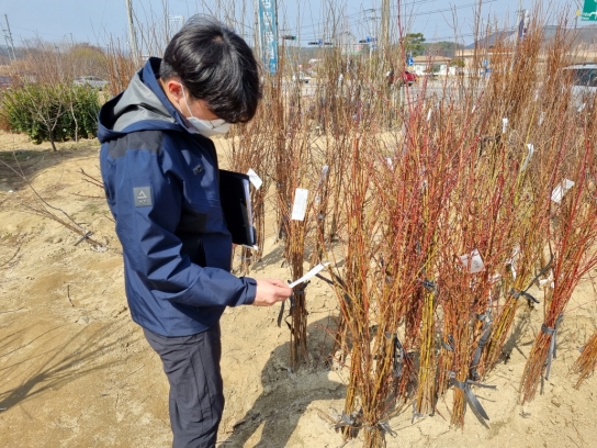 국립산림품종관리센터, 산림용 종자 유통질서 확립에 앞장선다!